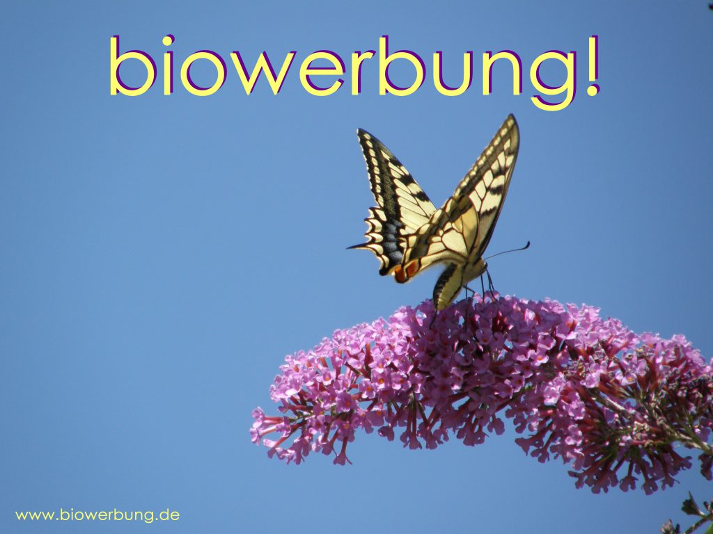 biowerbung schmetterling